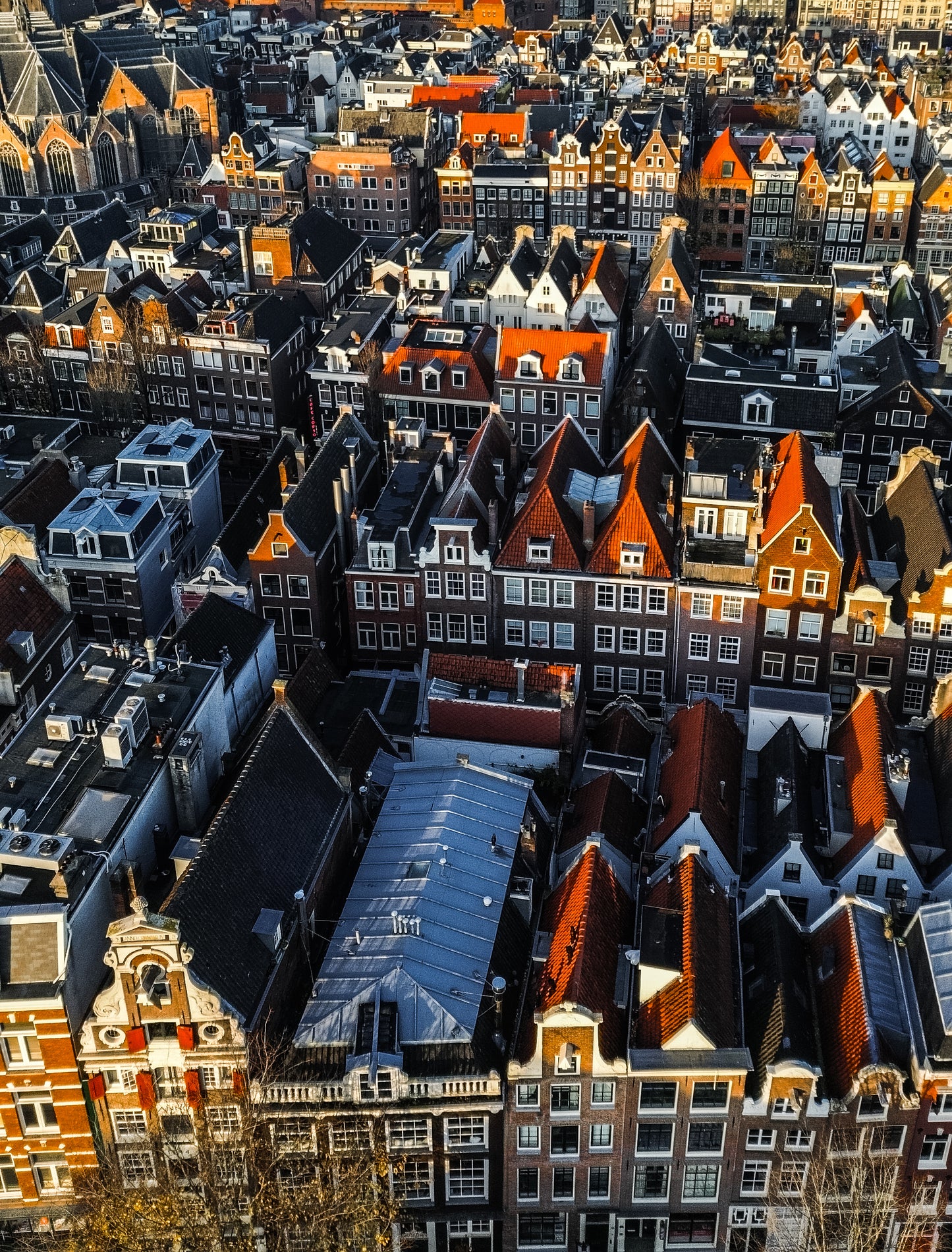 Amsterdam houses