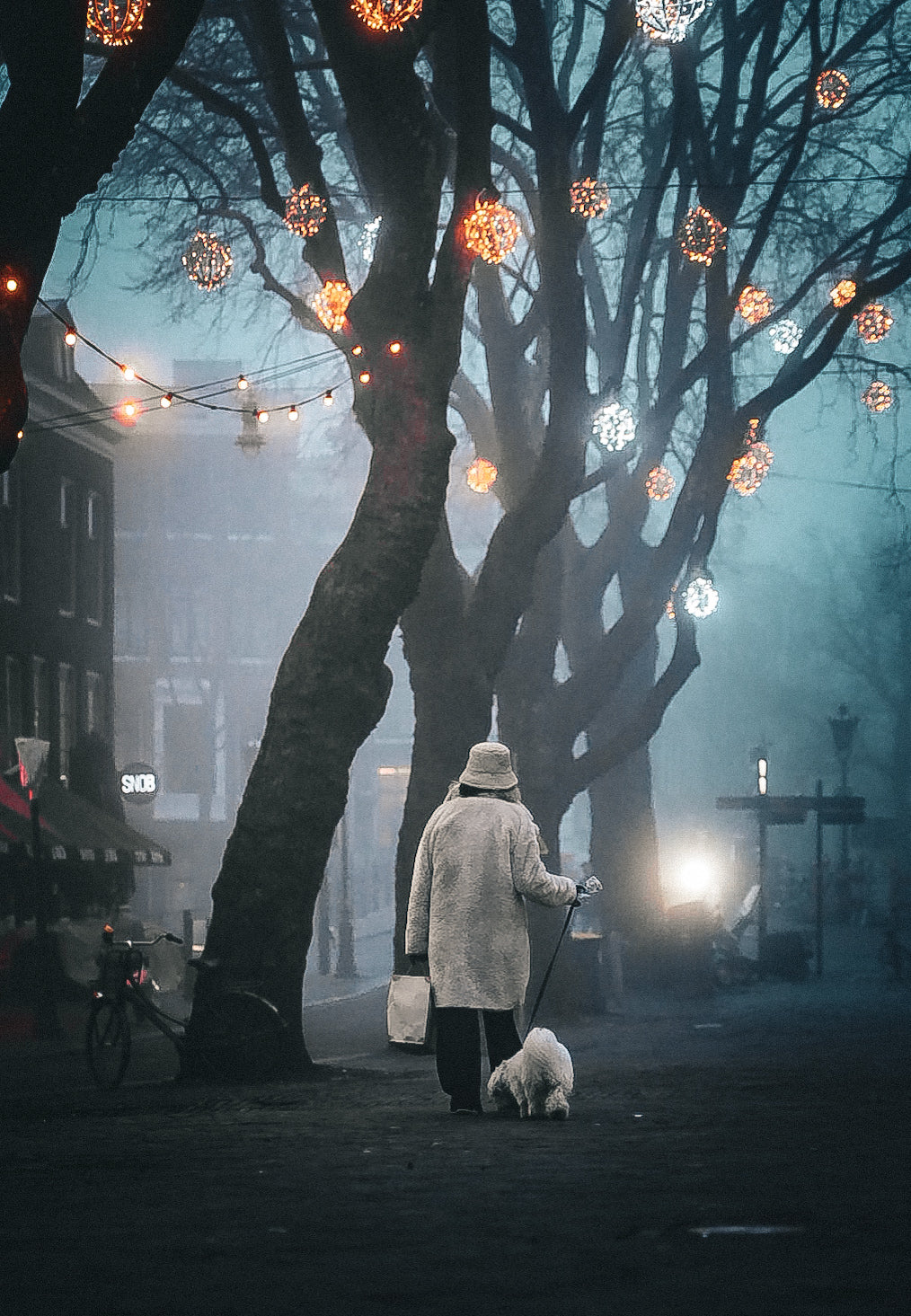 Amsterdam Thorbeckeplein mist