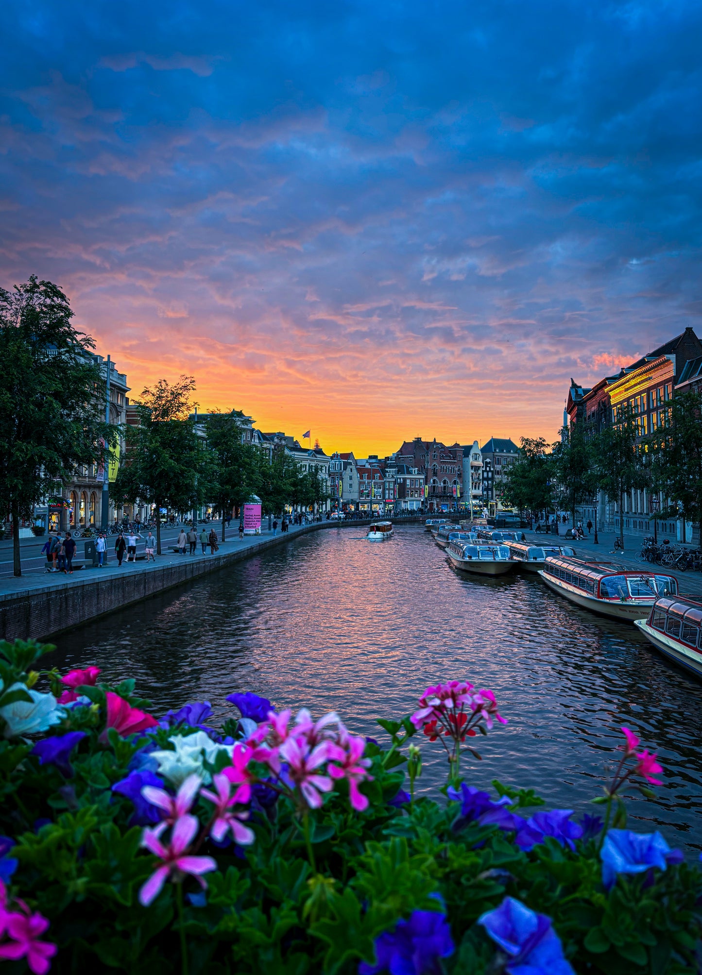 Amsterdam Rokin summer sunrise