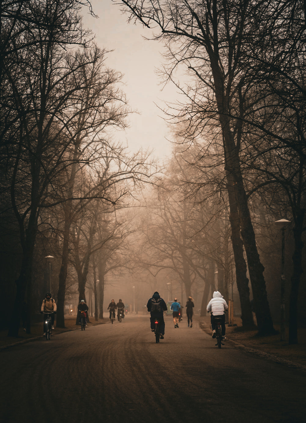 Amsterdam Vondelpark mist
