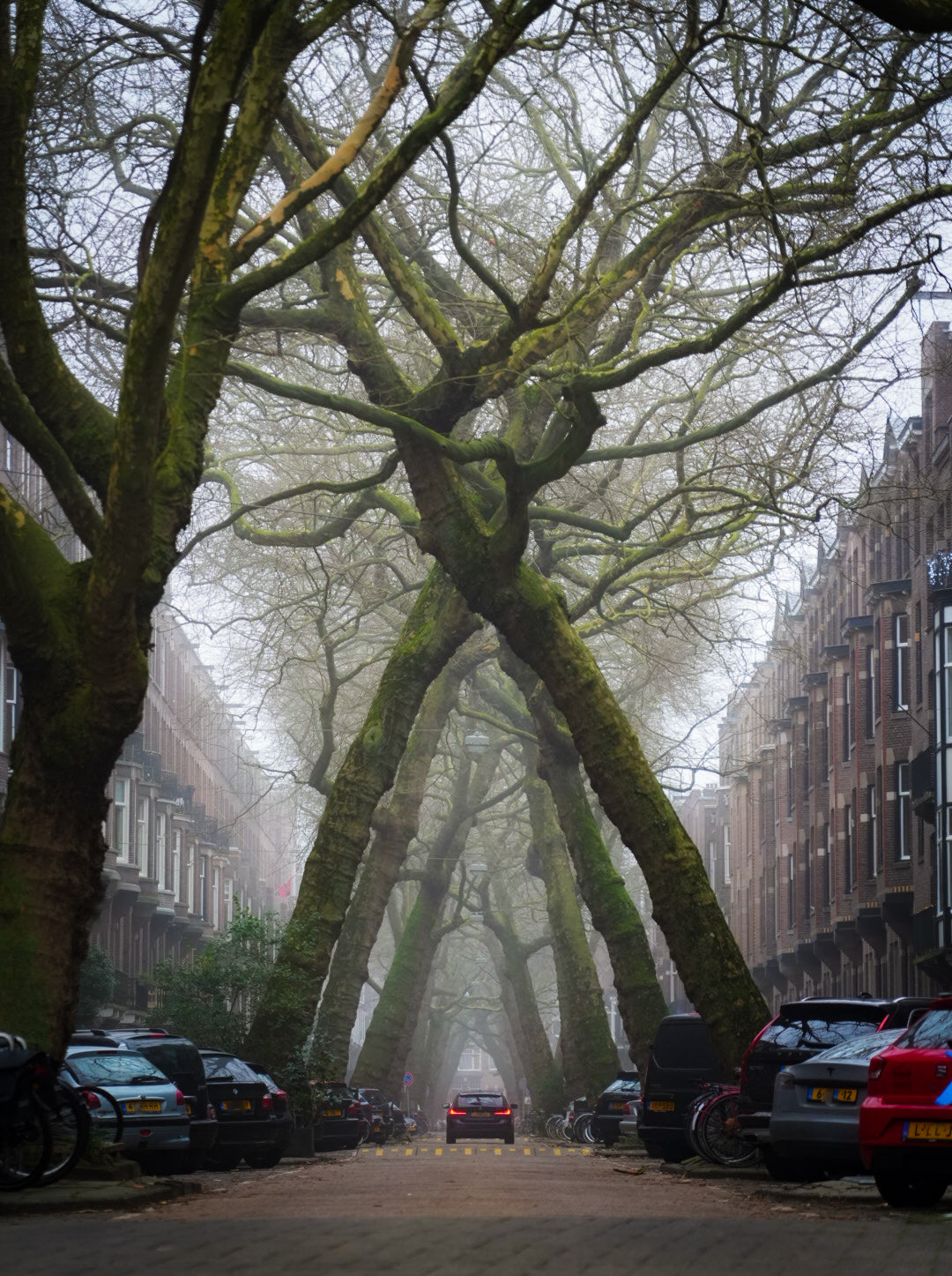 Amsterdam lomanstraat mist