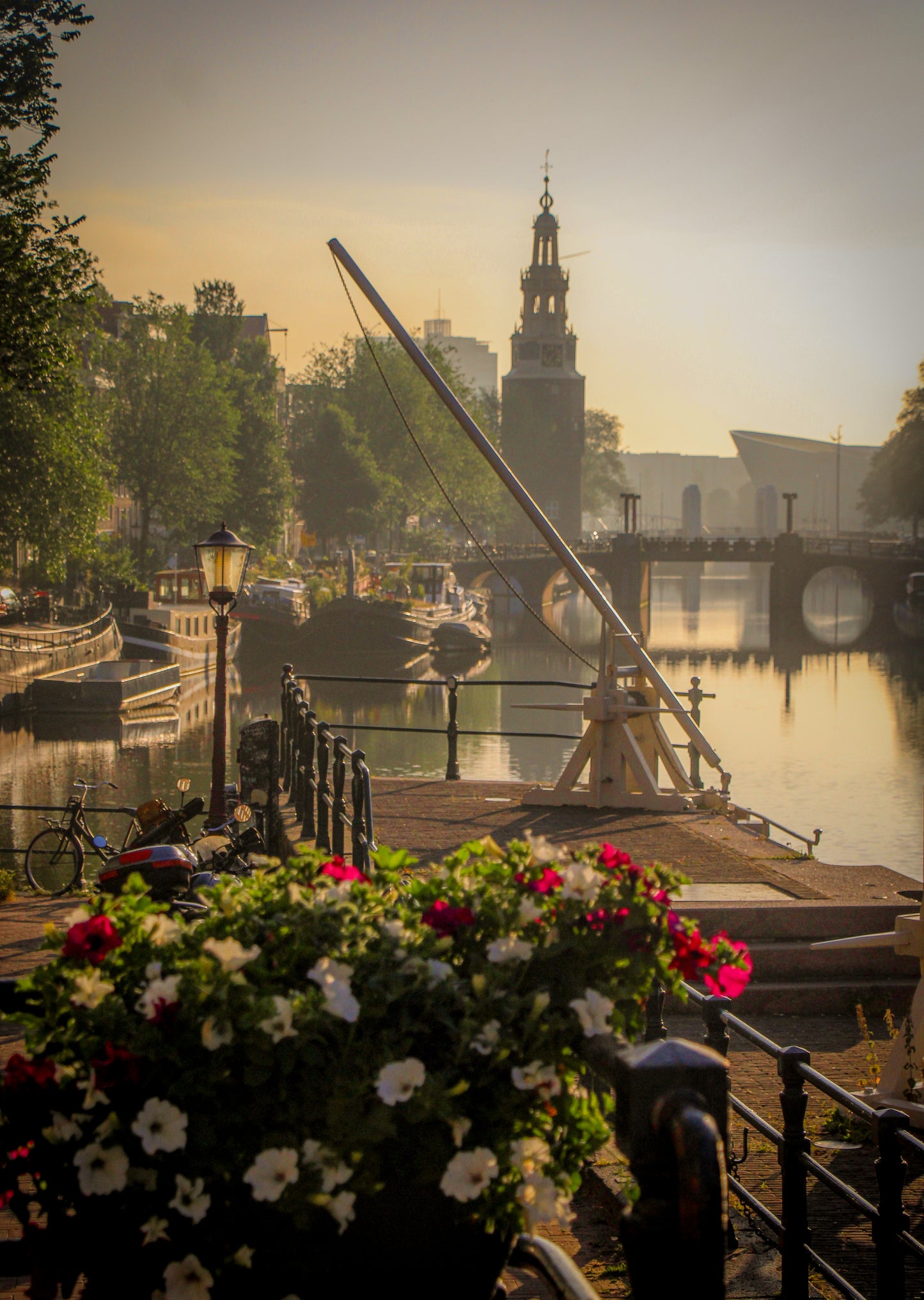 Amsterdam sunrise