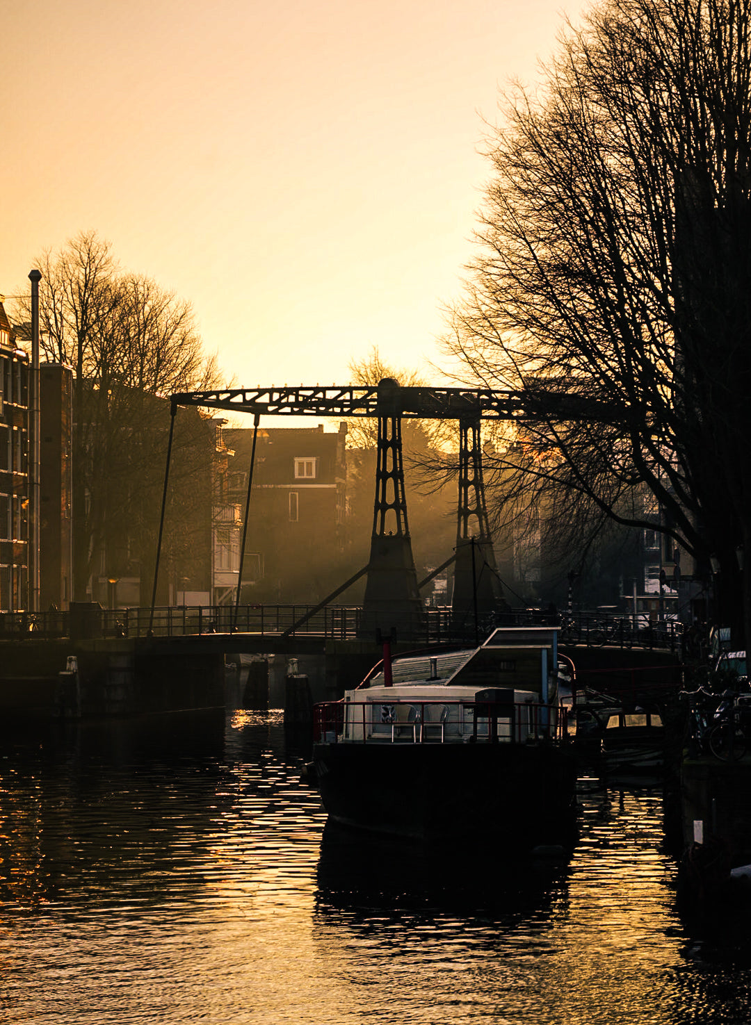Amsterdam sunlight