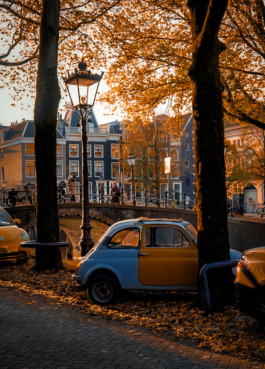 Amsterdam autumn