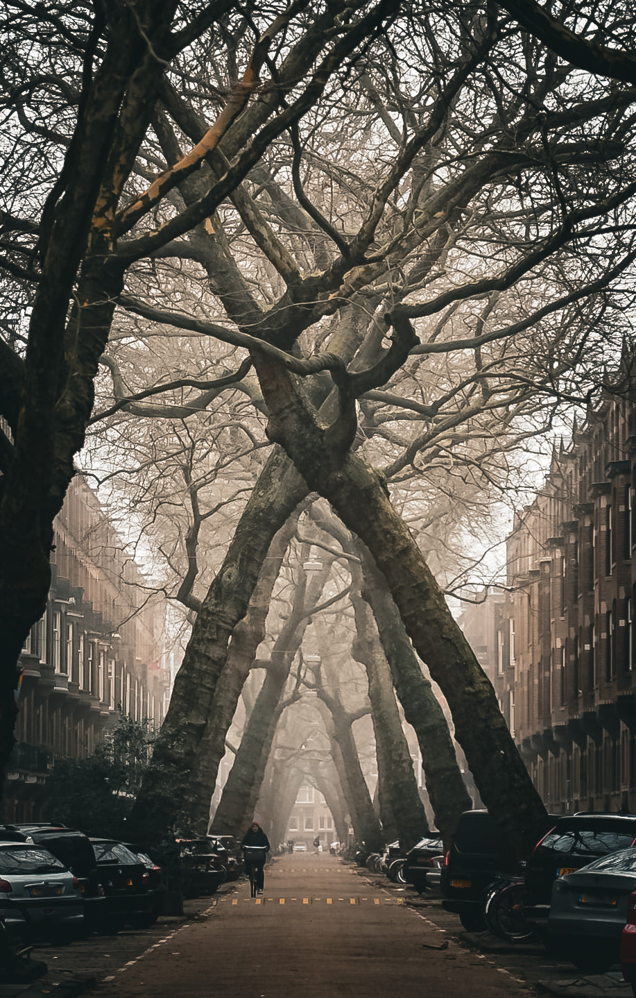 Amsterdam lomanstraat mist