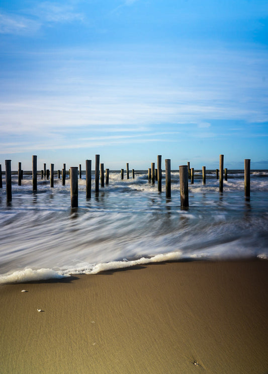 Palendorp petten